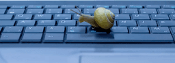 The REST API Encountered an error, Your site could not complete a loopback request